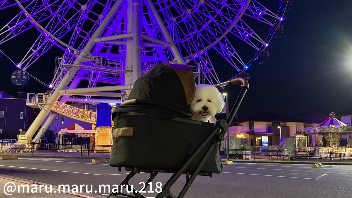 2026年 神奈川県のドッグイベント完全ガイド|愛犬と楽しむフェス・マーケット情報【随時更新】