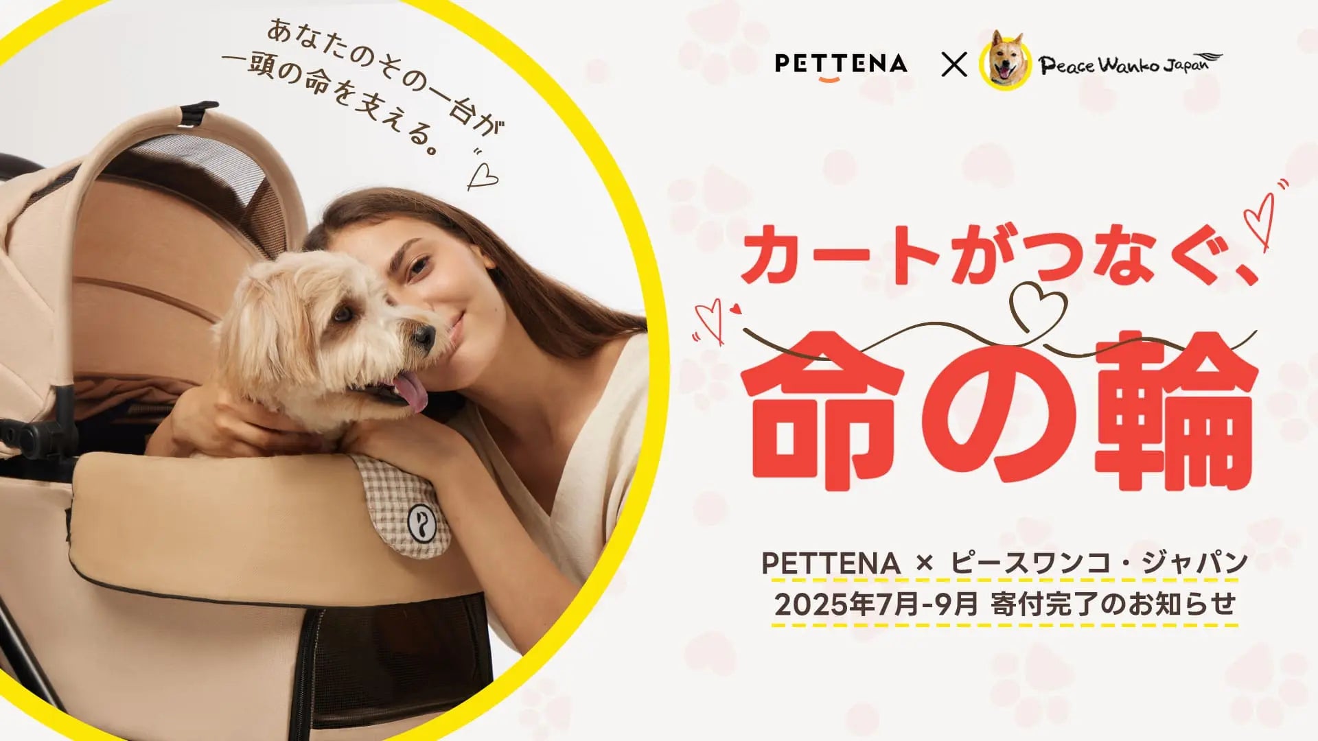 Peace Wanko Japanへの寄付活動