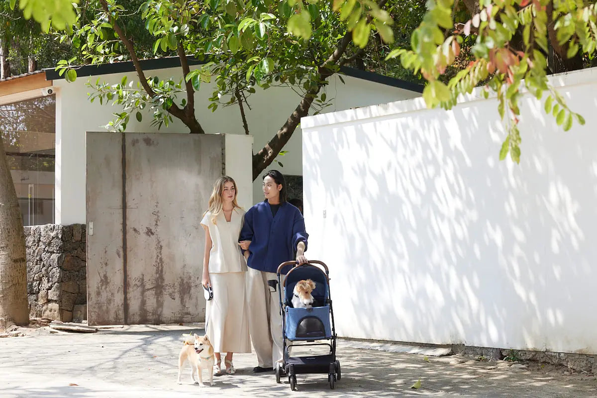 犬連れで涼しい人気スポット1