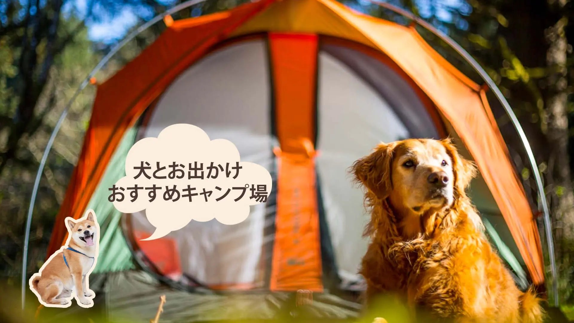 犬連れキャンプ
