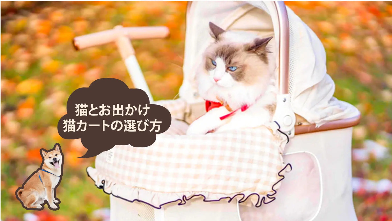 ペットカートに猫を乗せてもいい?カートの選び方、電車・バス・車のルールとストレス対策の全ガイド|PETTENA