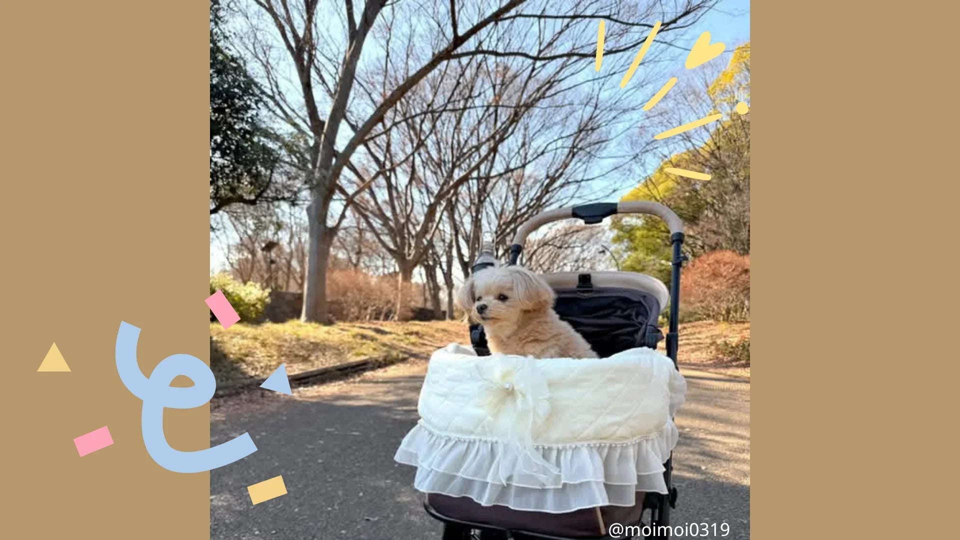 ペットカートで犬連れの日帰り旅行