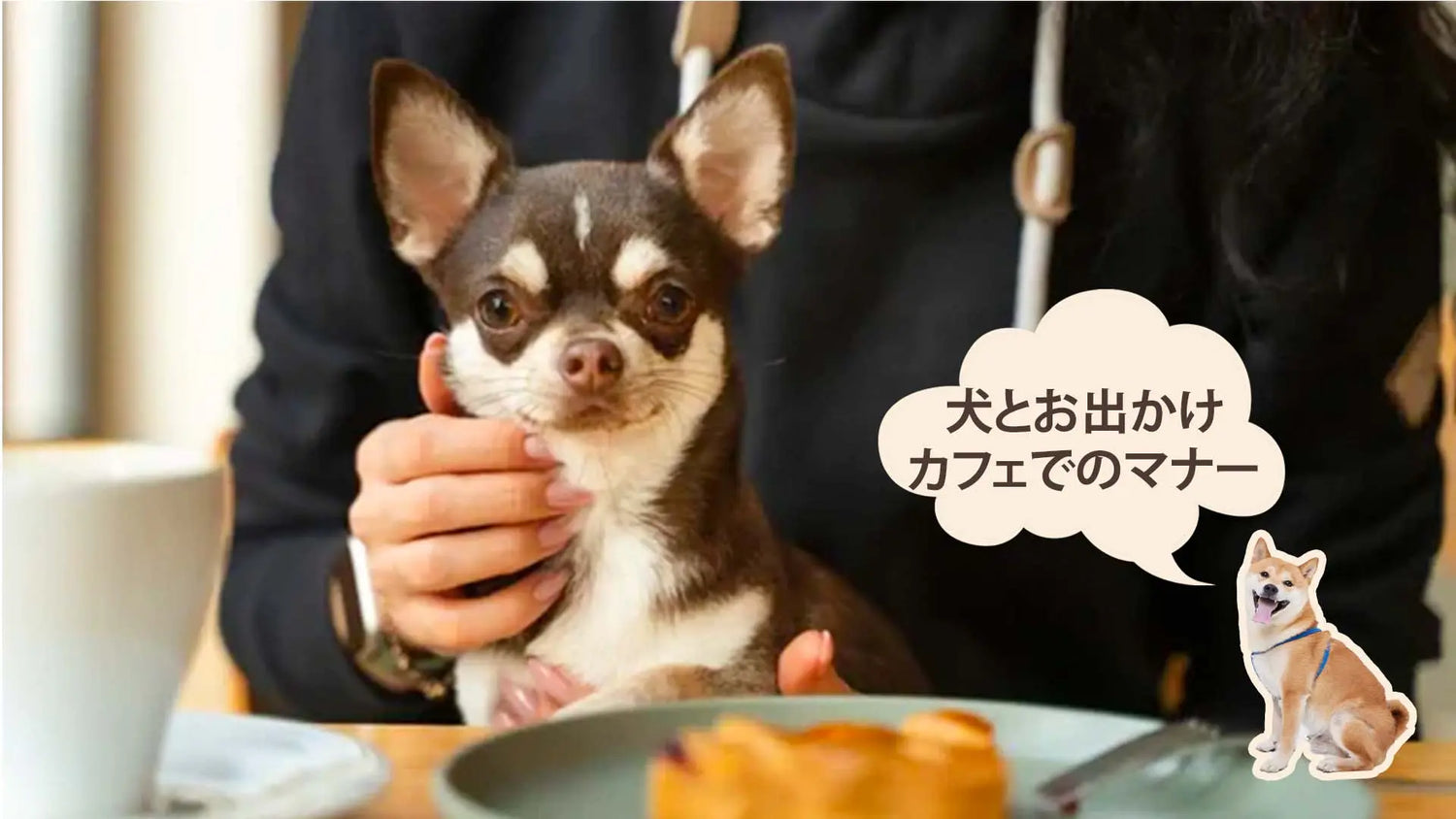 犬をカフェに連れて行くときのマナー