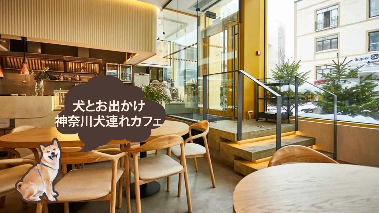 神奈川のドッグラン付きカフェ