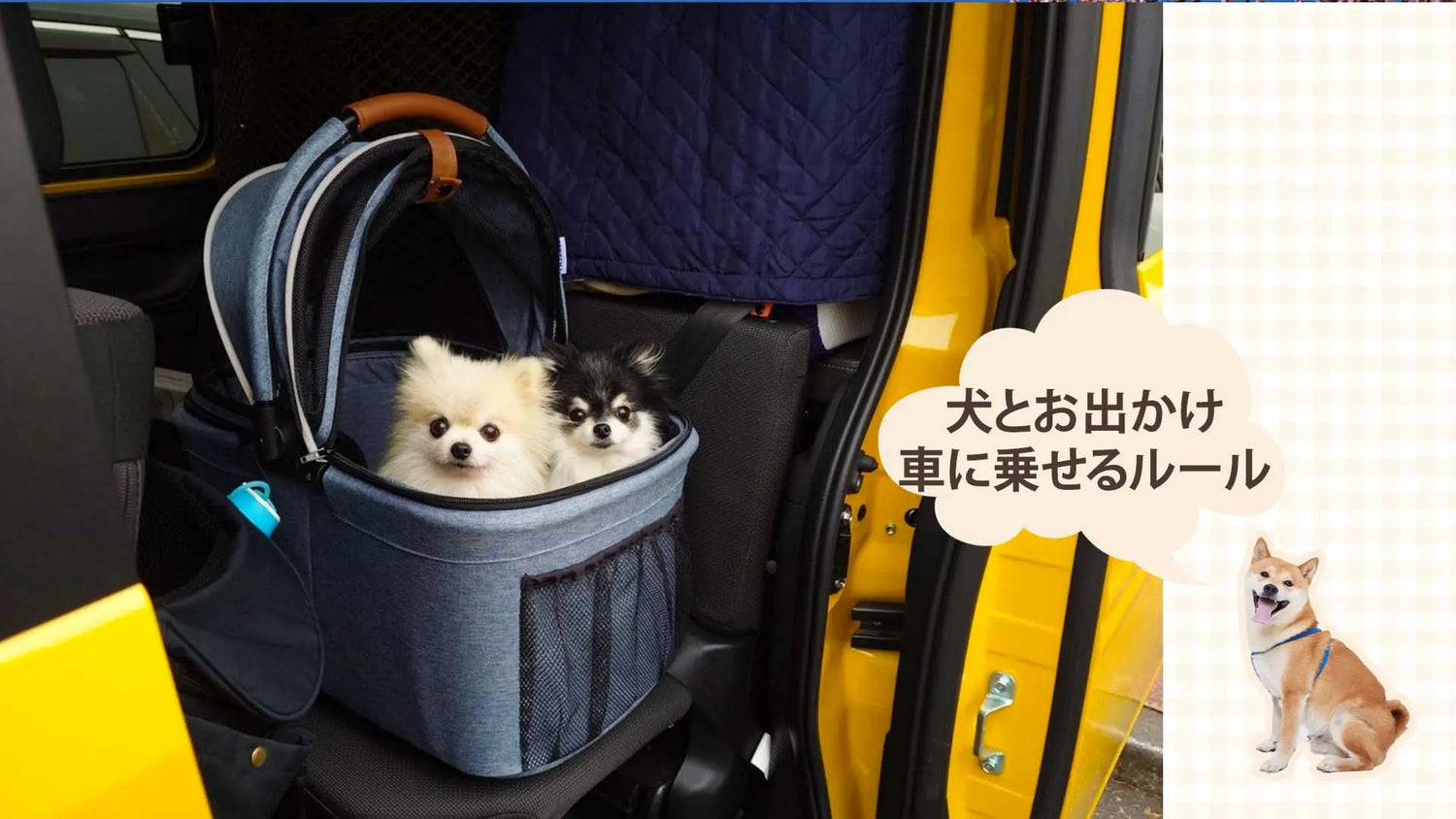 犬が自動車用キャリーケースに入り、車でお出かけをする様子