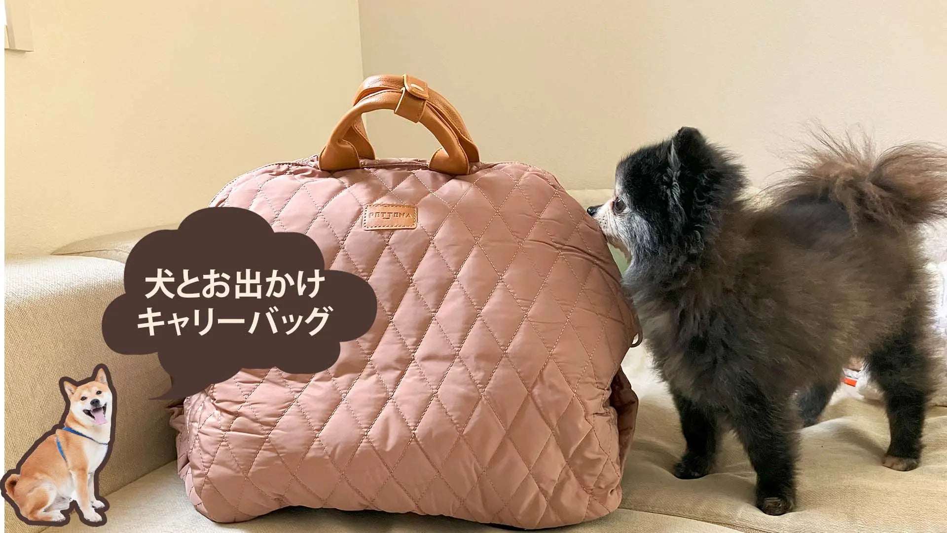 犬のキャリーバッグ