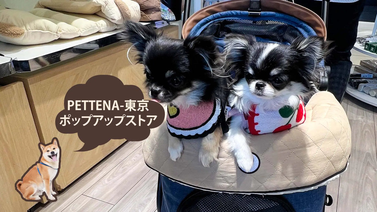 ペットカートを実際に体験!東京ポップアップストアを振り返って|PETTENA