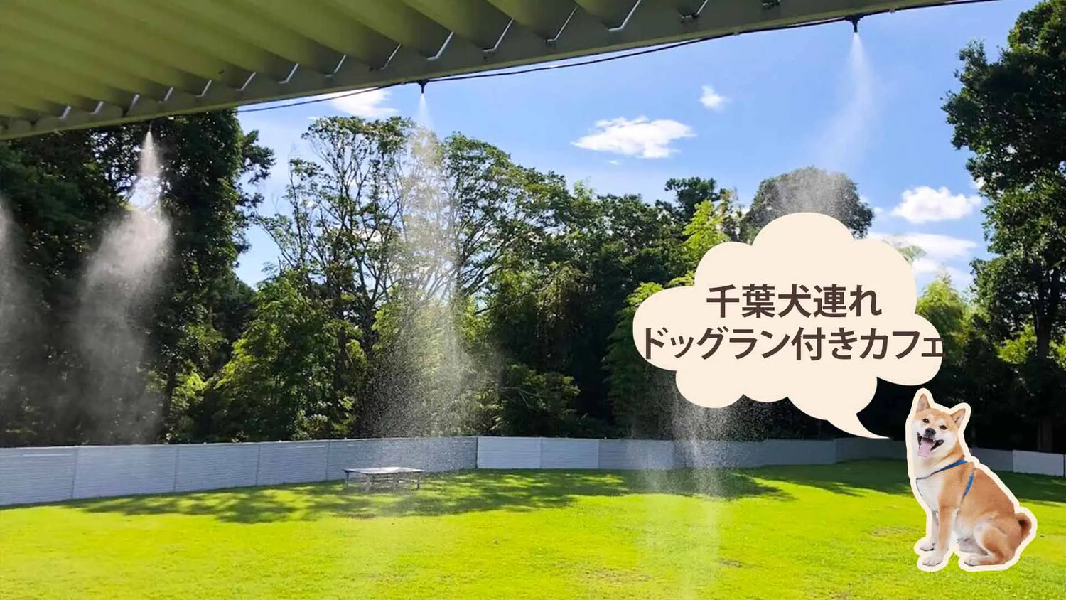 千葉のドッグラン付きカフェ