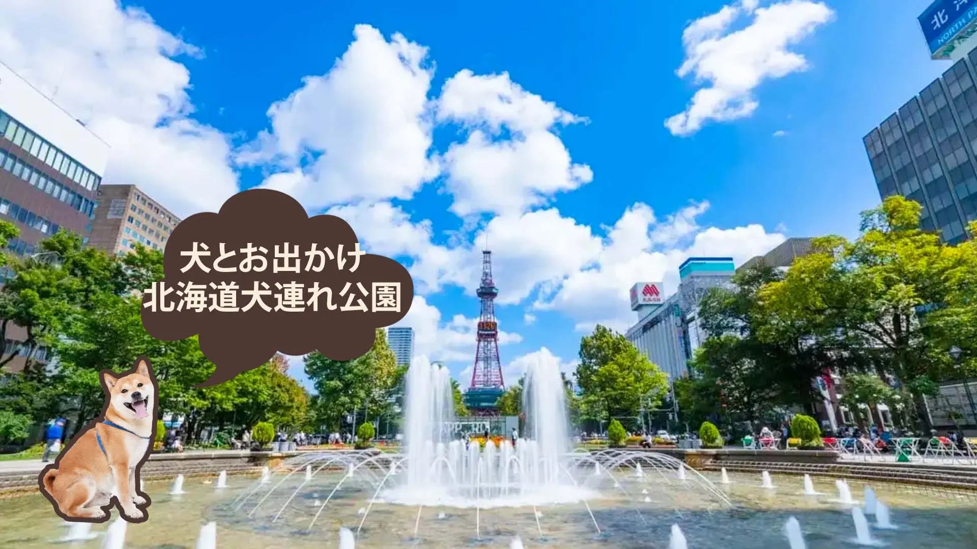 北海道で犬と行ける公園