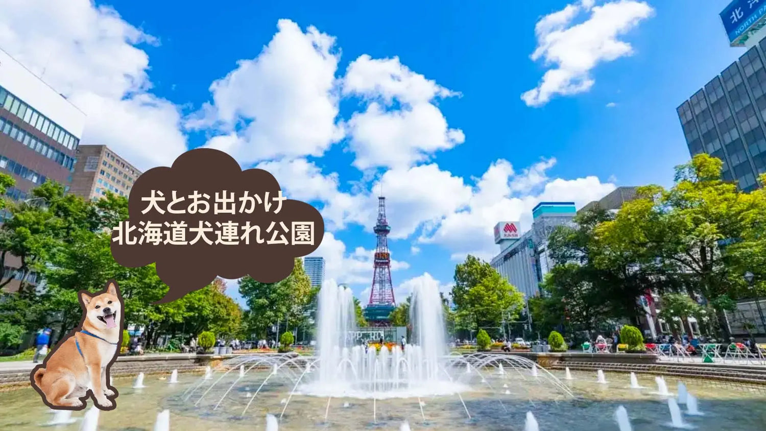 北海道で犬と行ける公園