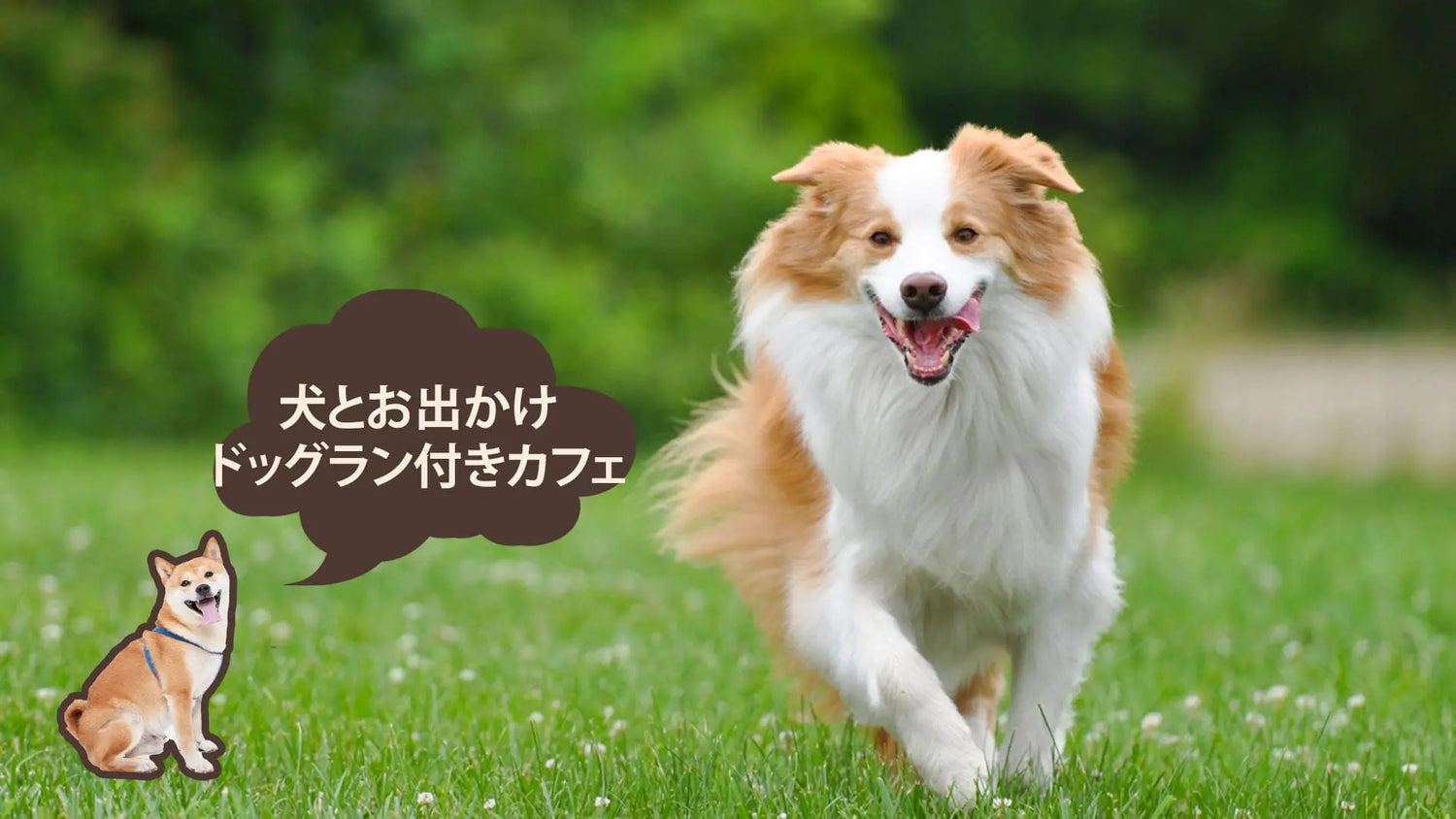 大阪のドッグラン付きカフェ