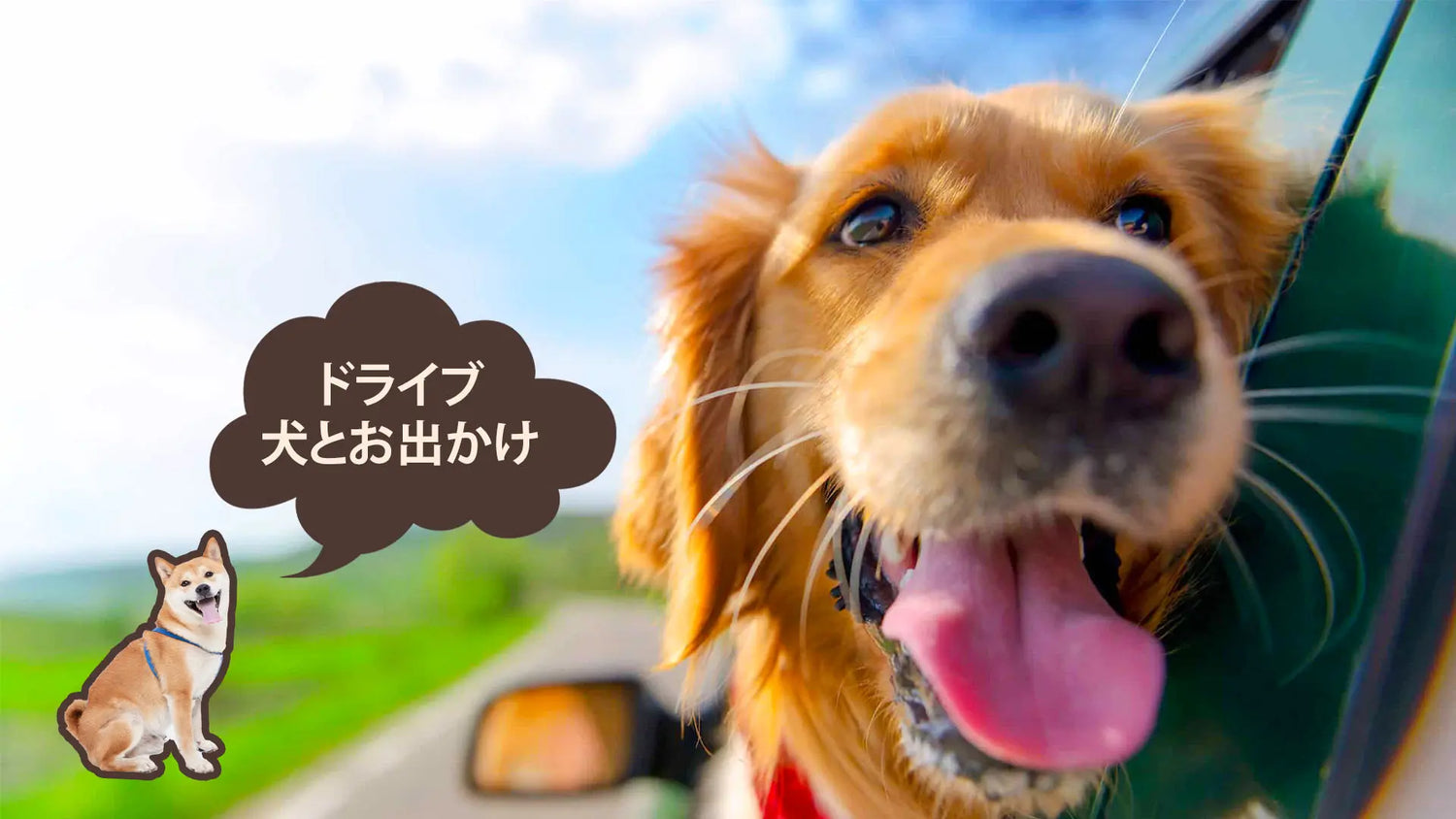 犬とのドライブ