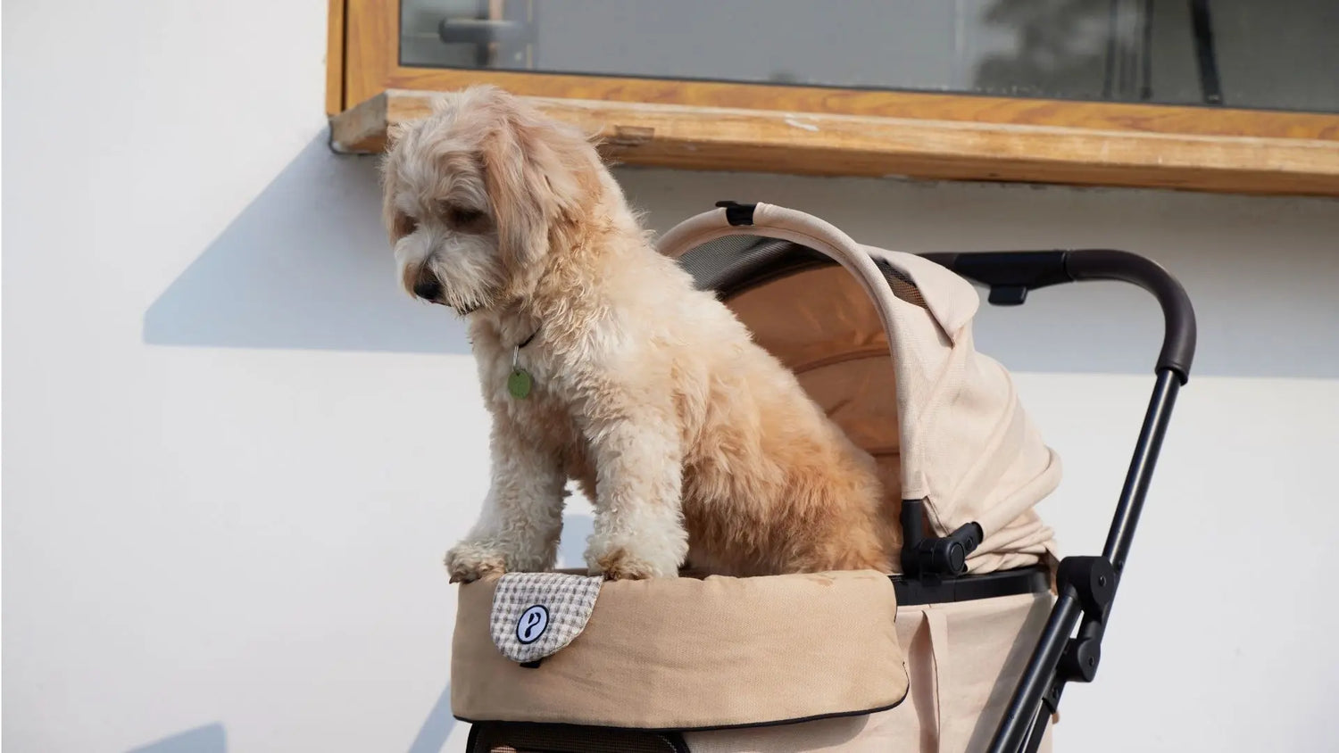 愛犬を病院に連れて行くペットカート