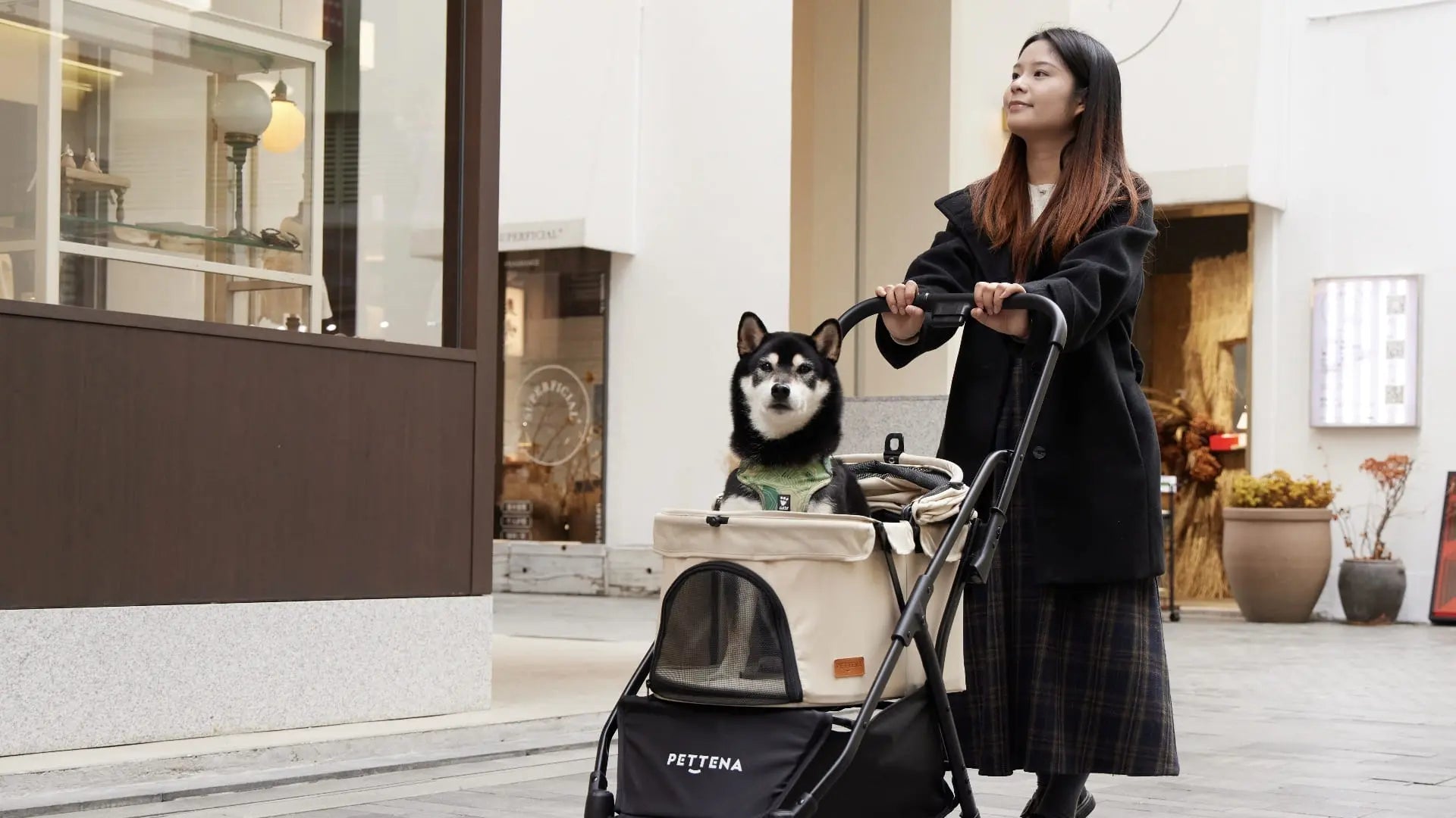 犬のペットカート