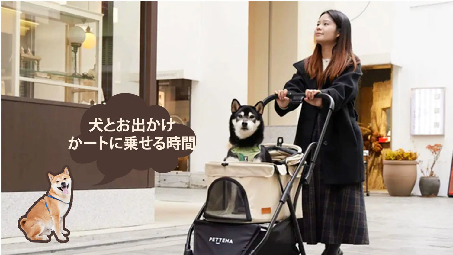犬をペットカートに乗せる時間