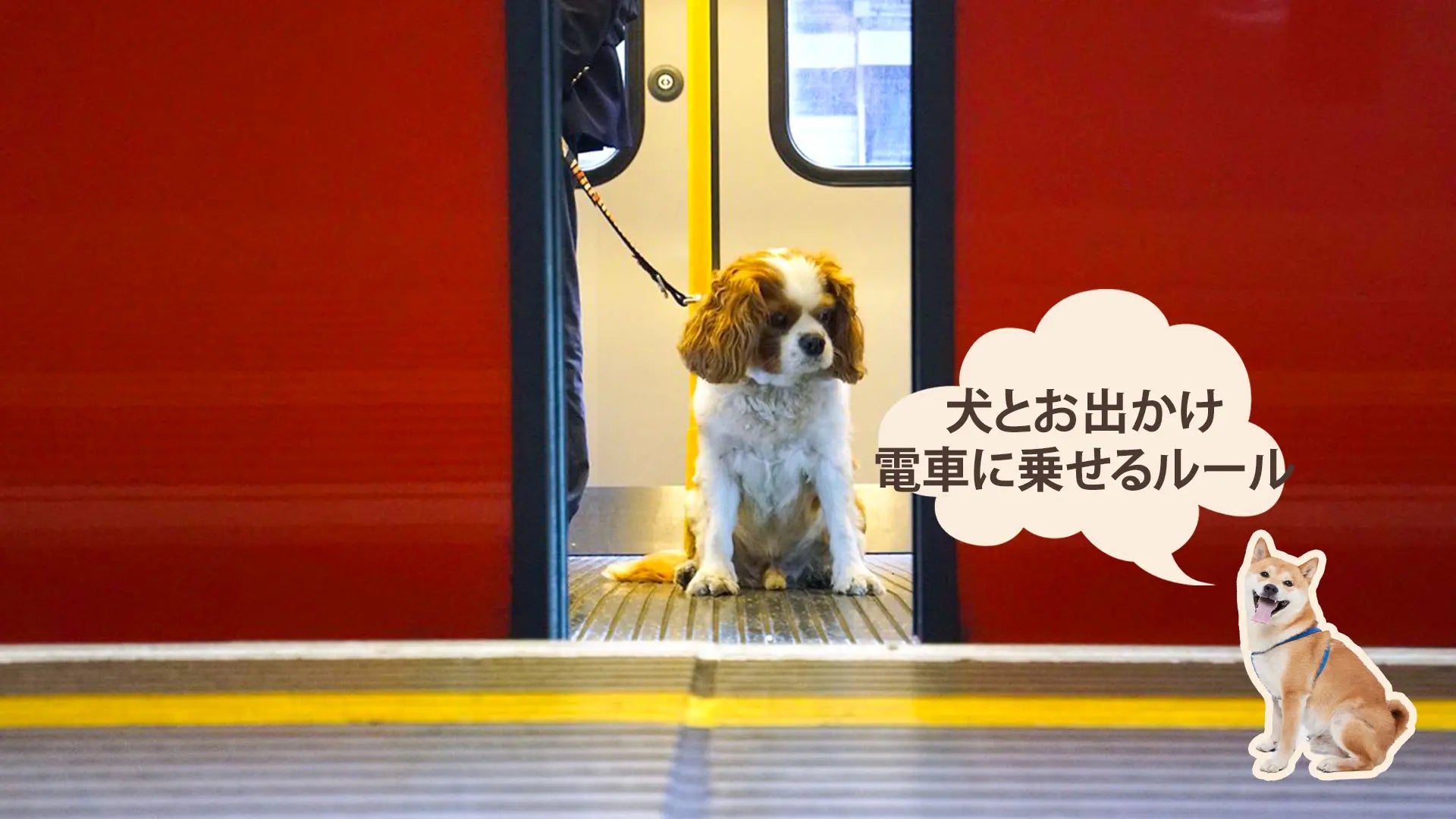 犬は電車に乗れる