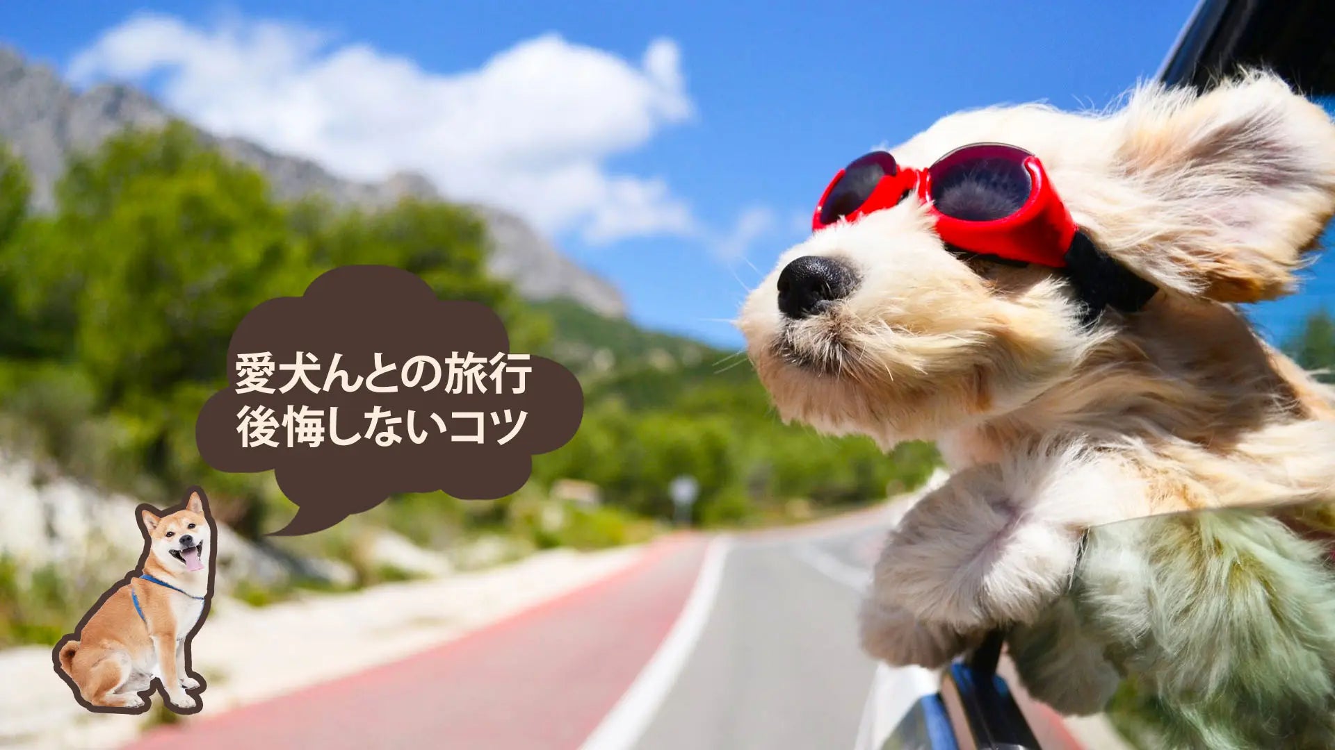 愛犬とのドライブ旅行