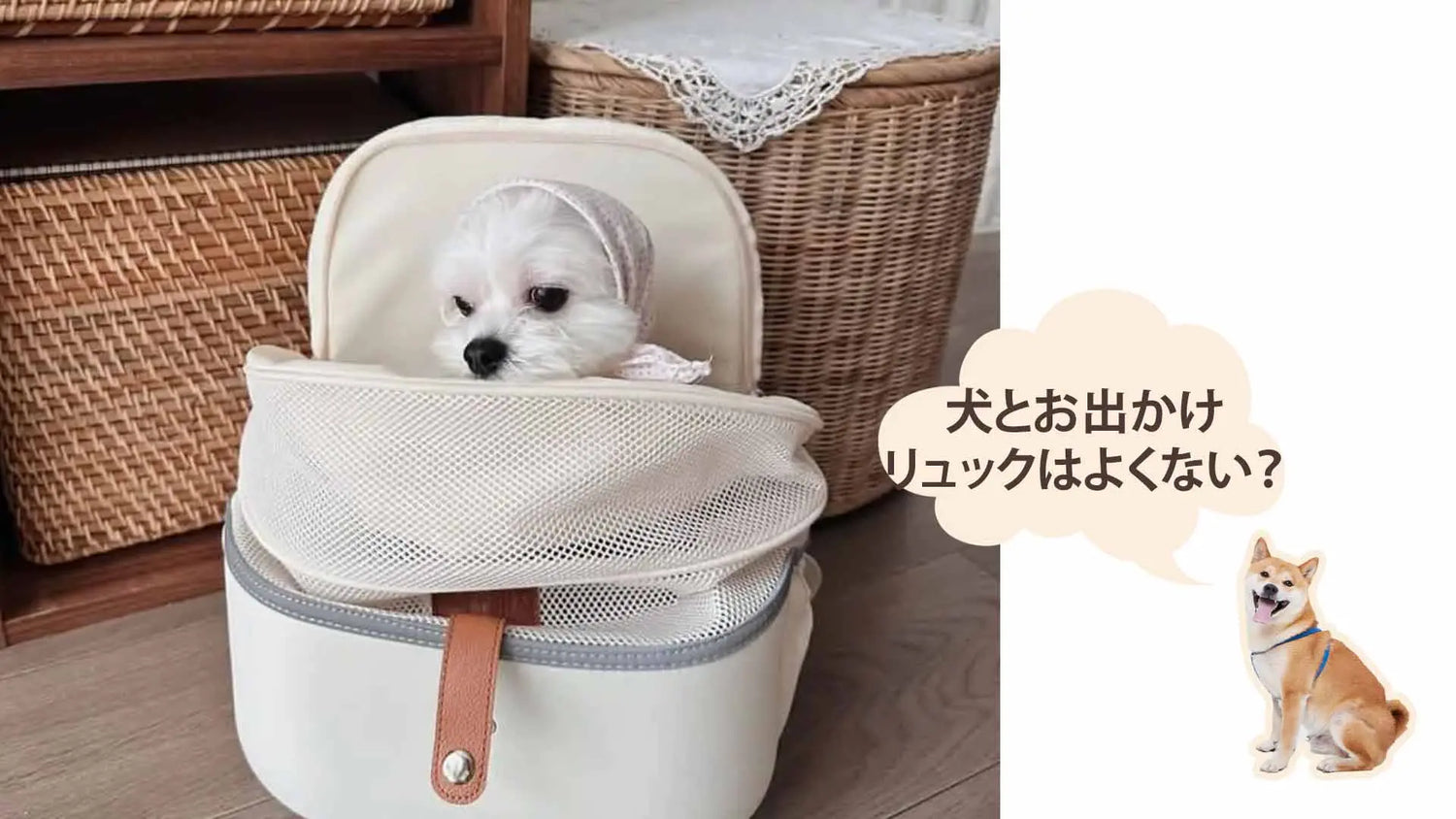 小型犬をリュックに背負う