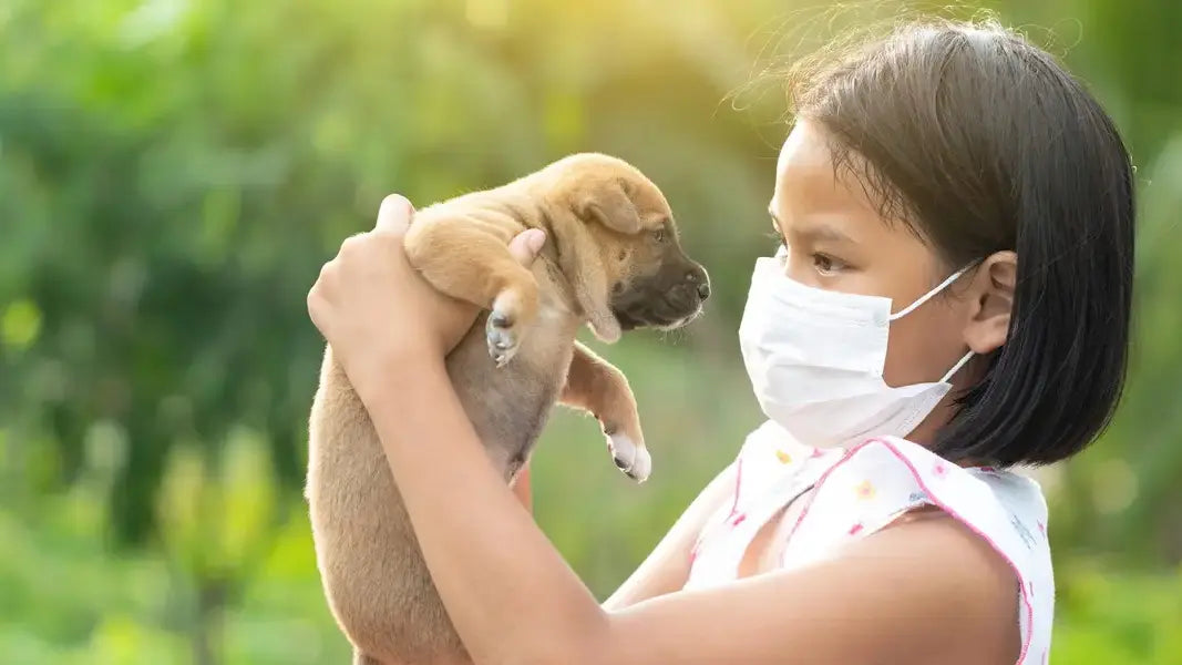 人間の風邪は犬にうつる