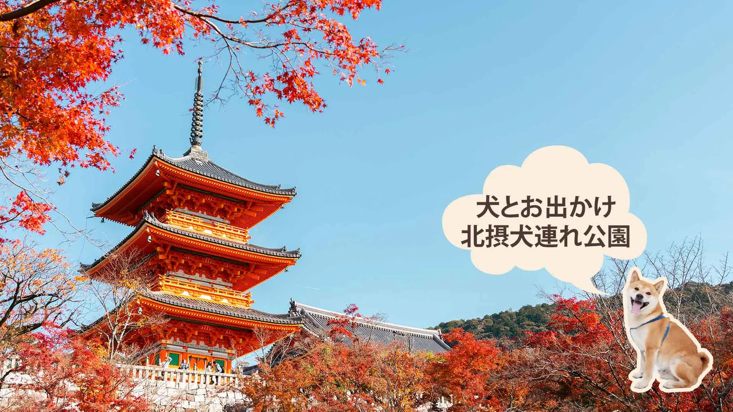 関西で犬と行ける神社