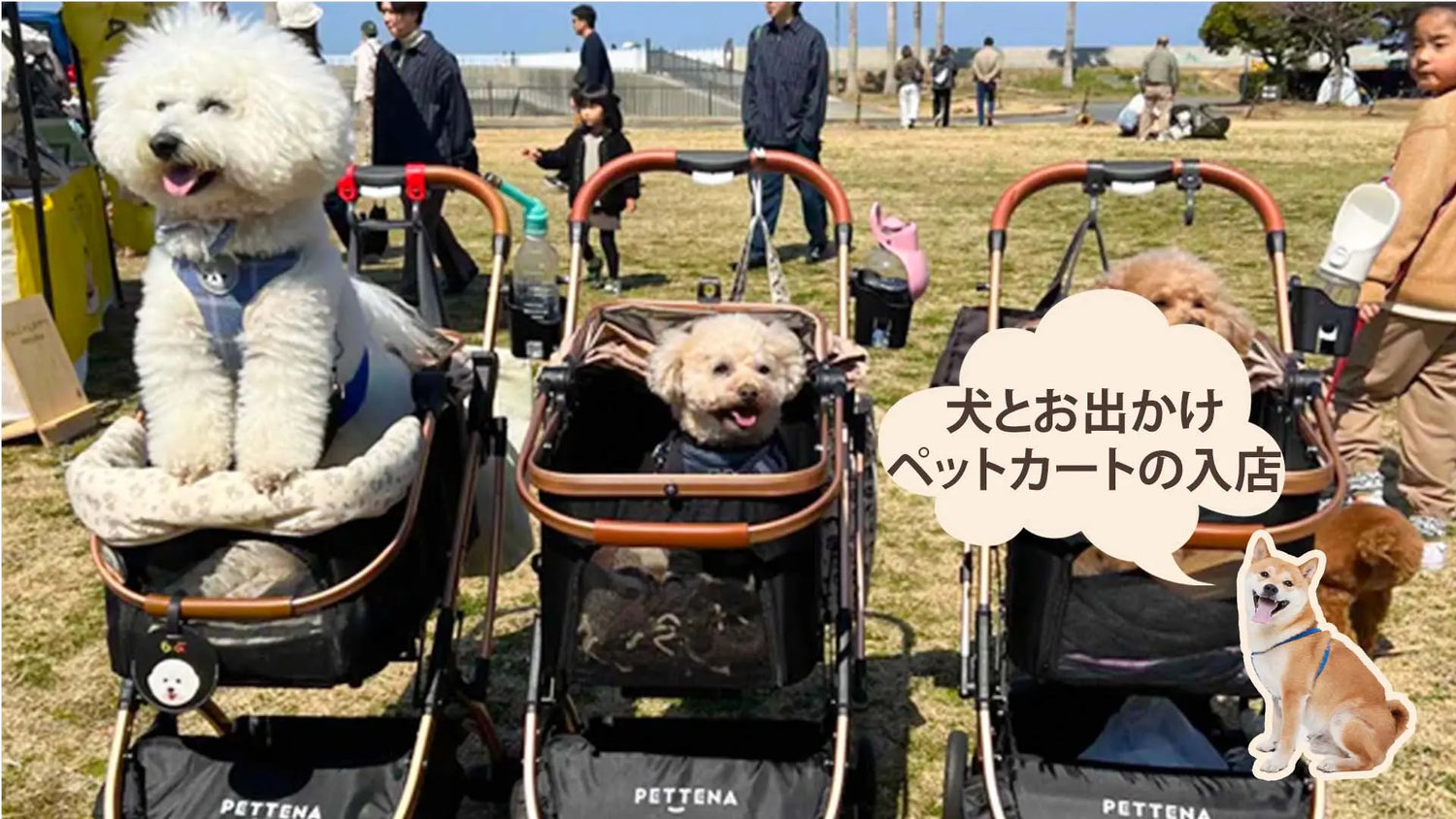 ペットカートで店に入れる