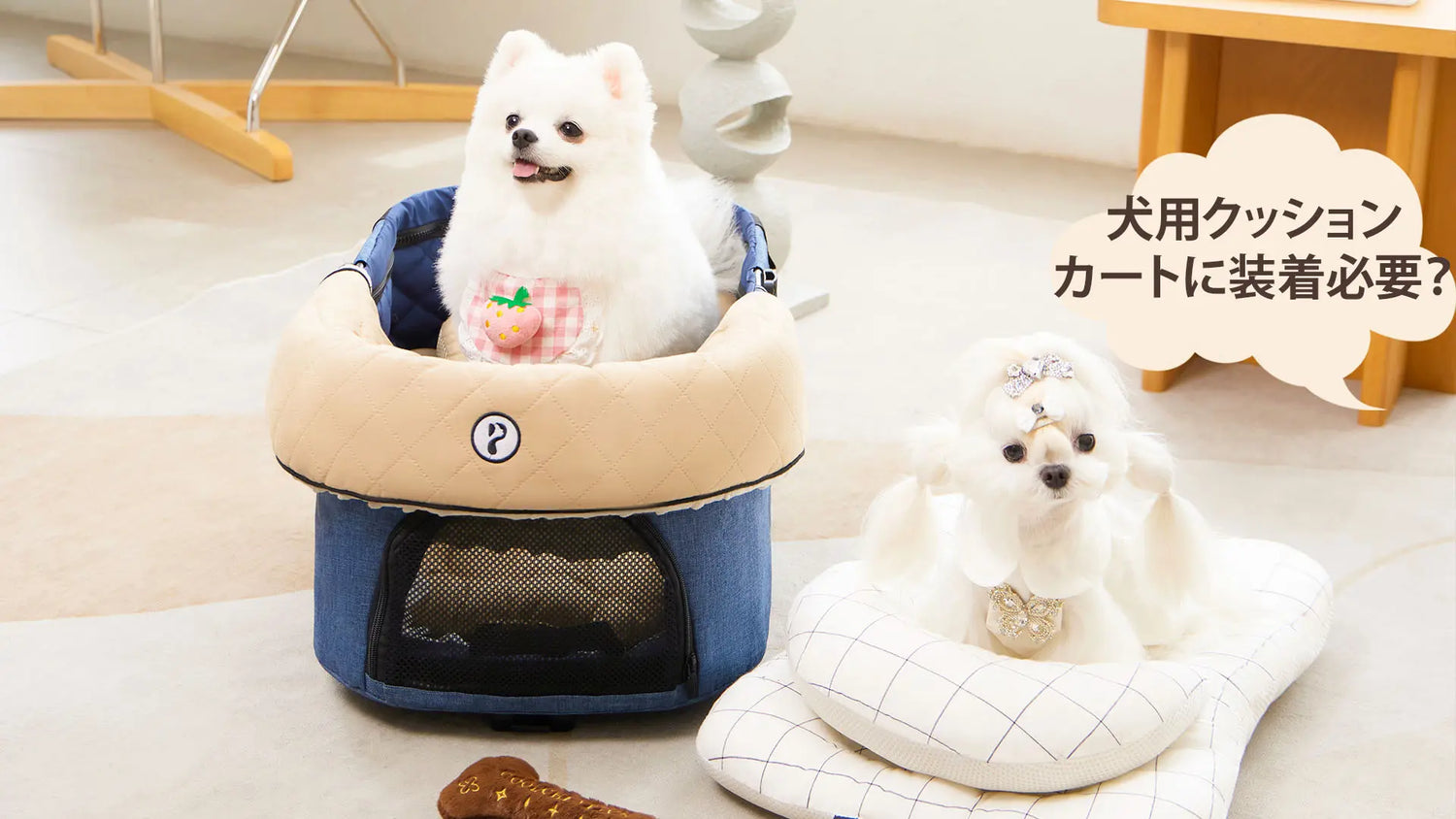 犬がクッションセットで休む