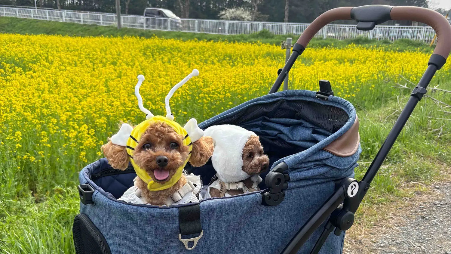 多頭飼いにおすすめのペットカート:犬猫と一緒に快適にお出かけするための選び方と人気モデル|PETTENA