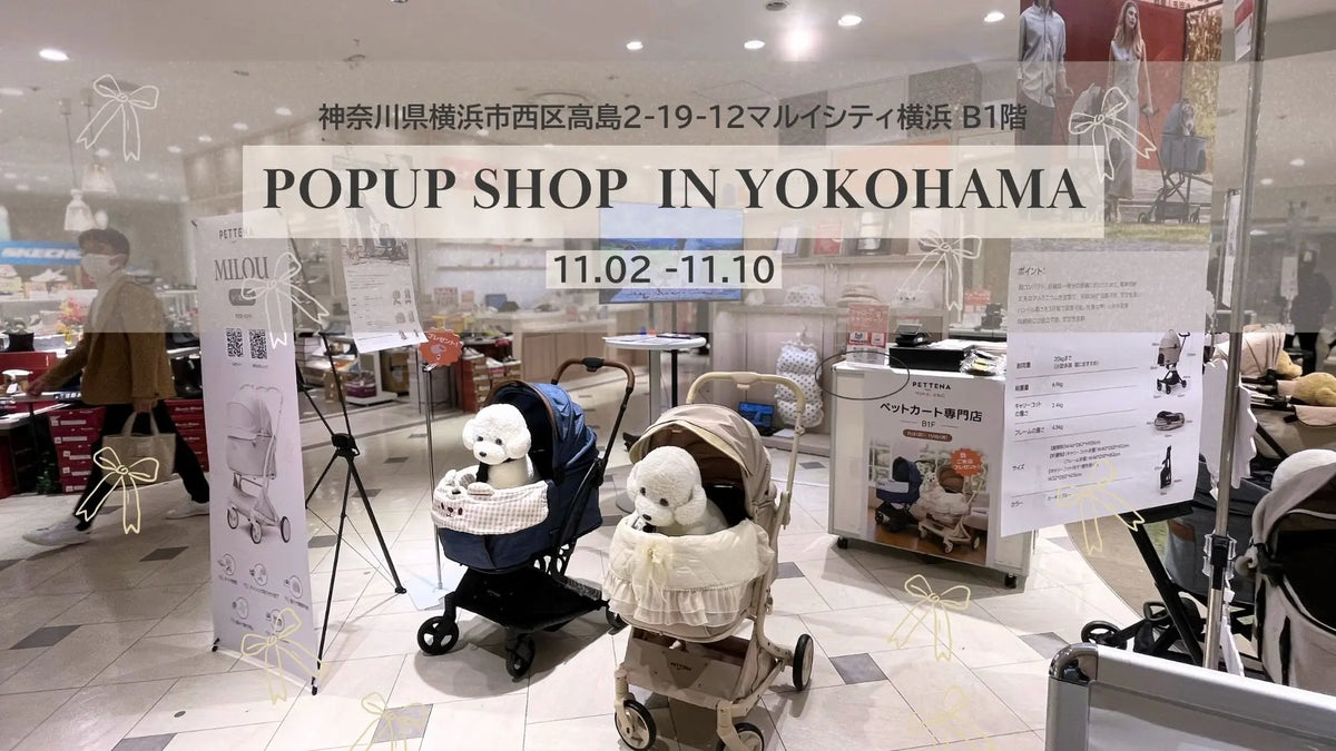 PETTENA POP-UP STORE in Yokohama 開催中!
