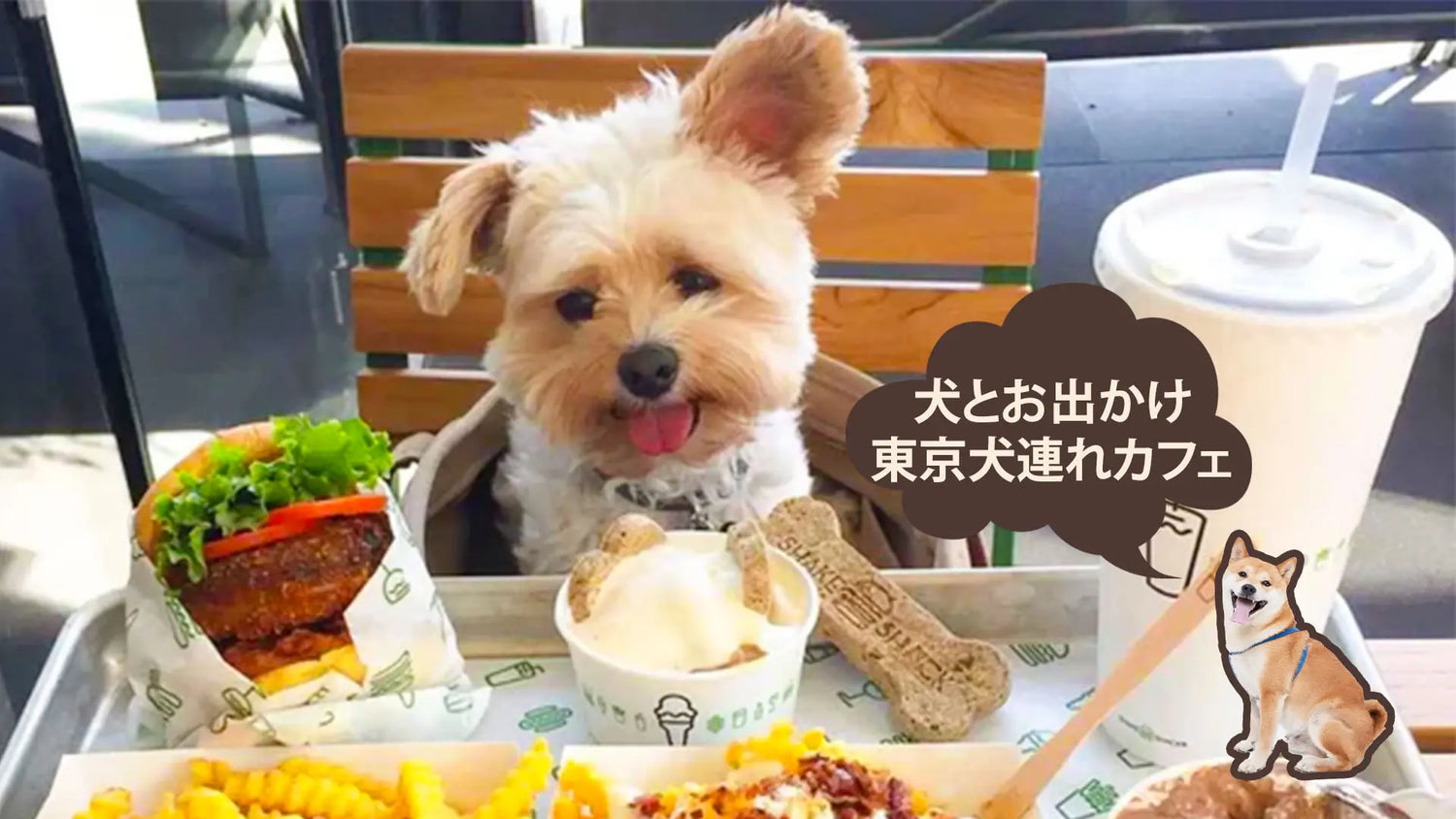 犬と行けるドッグカフェ