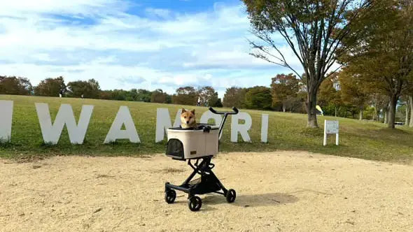 豆柴に対応犬バギー