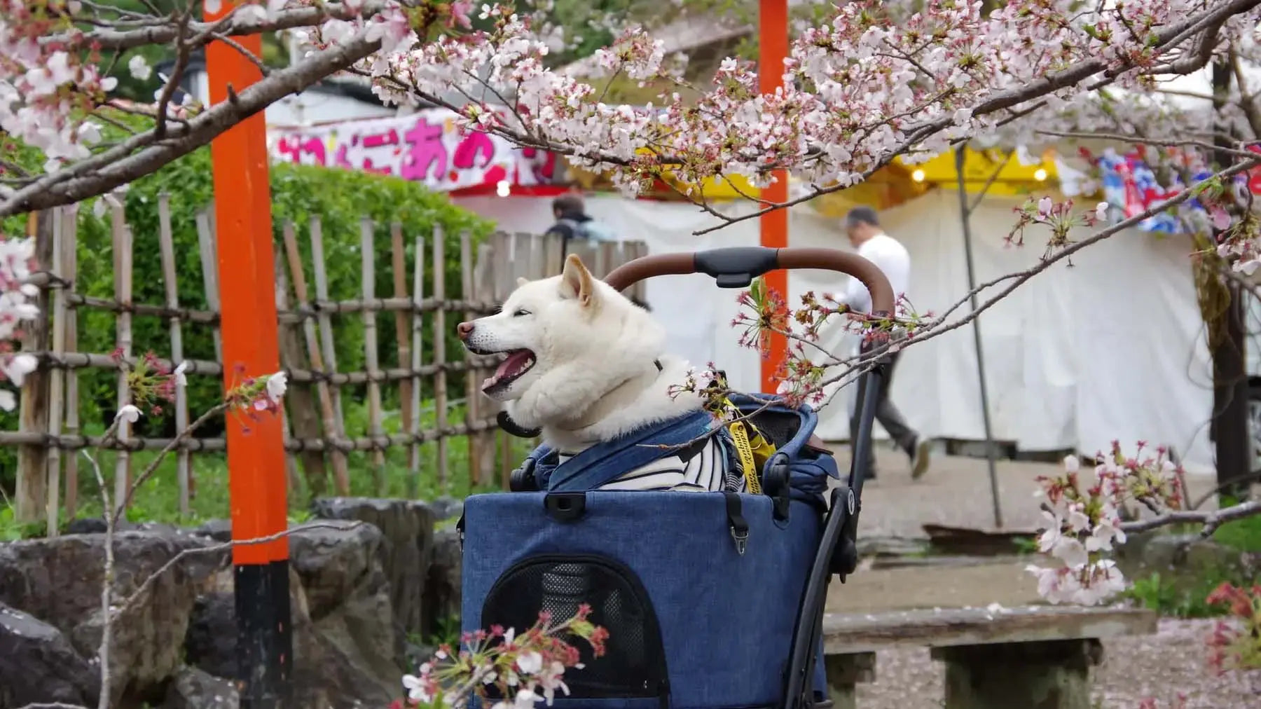 中型犬用ペットカート