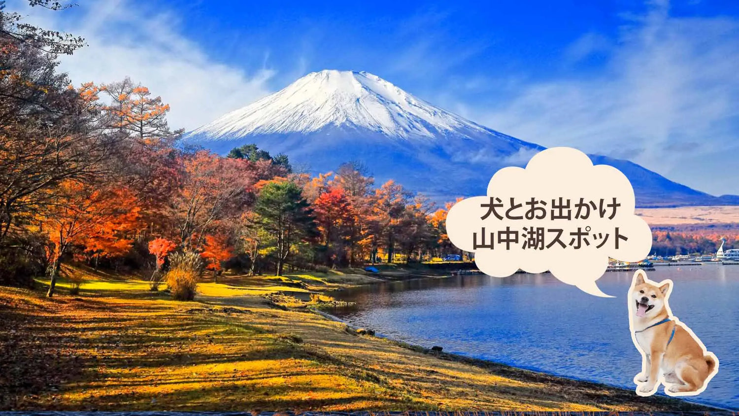 愛犬と行ける山中湖スポット