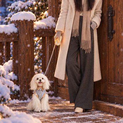 お出かけ用品