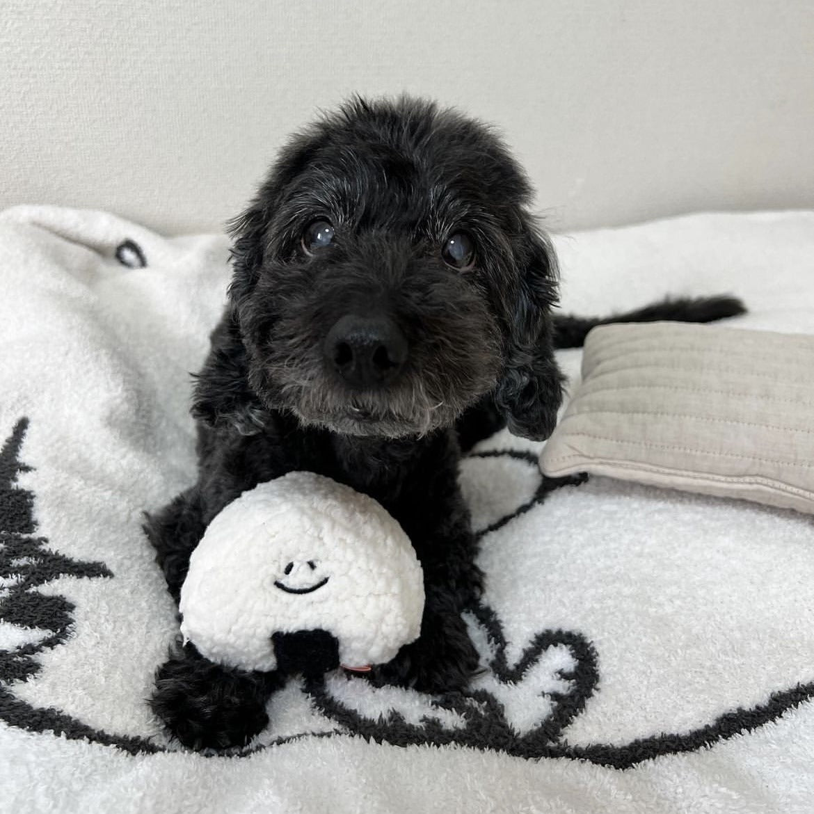 PETTENA Select ぬいぐるみおにぎりおもちゃ