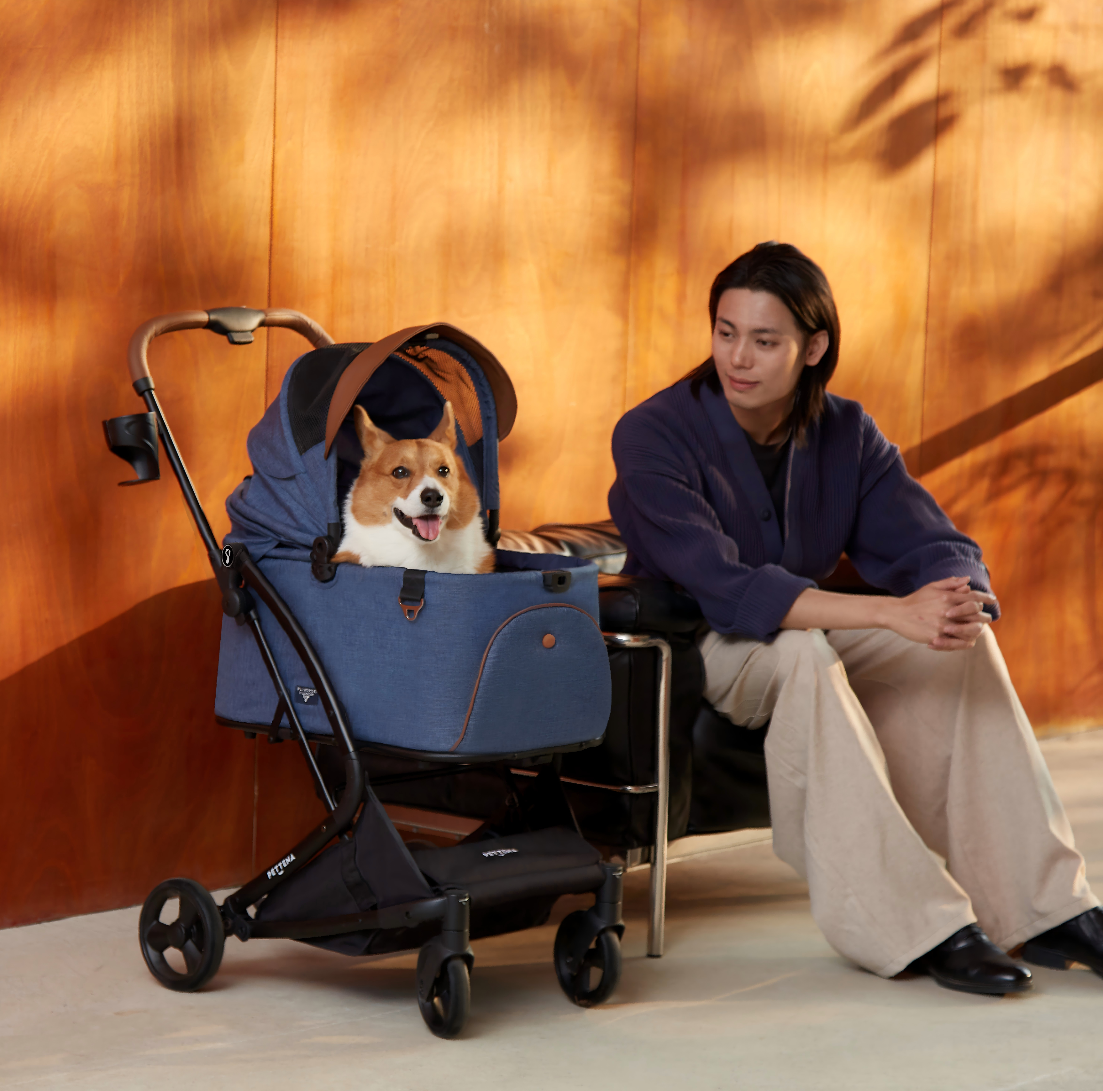 PETTENA ワンタッチ折りたたみ式分離型ペットカートMILOUにコーギー犬を乗せる様子