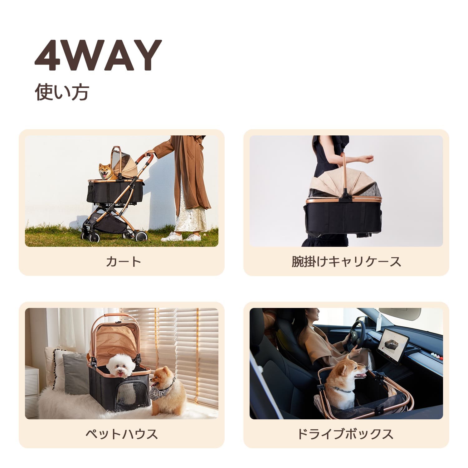 KNIGHT - キャリーコット