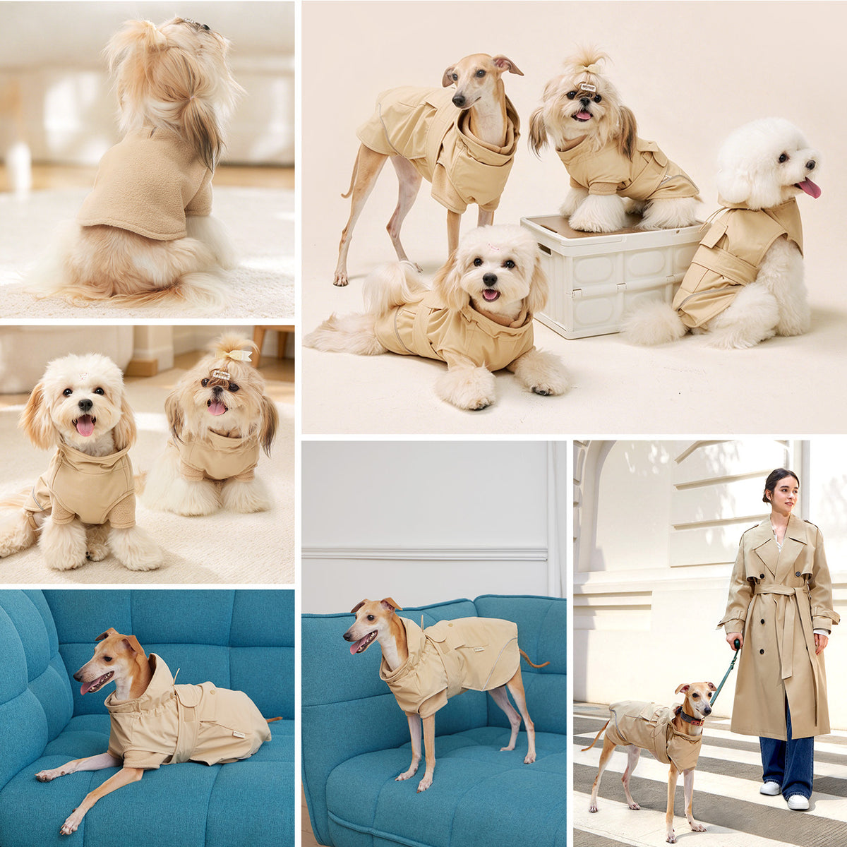 【3着で20%OFF】犬用ソフトニット+リバーシブルベスト+ドッグアウター