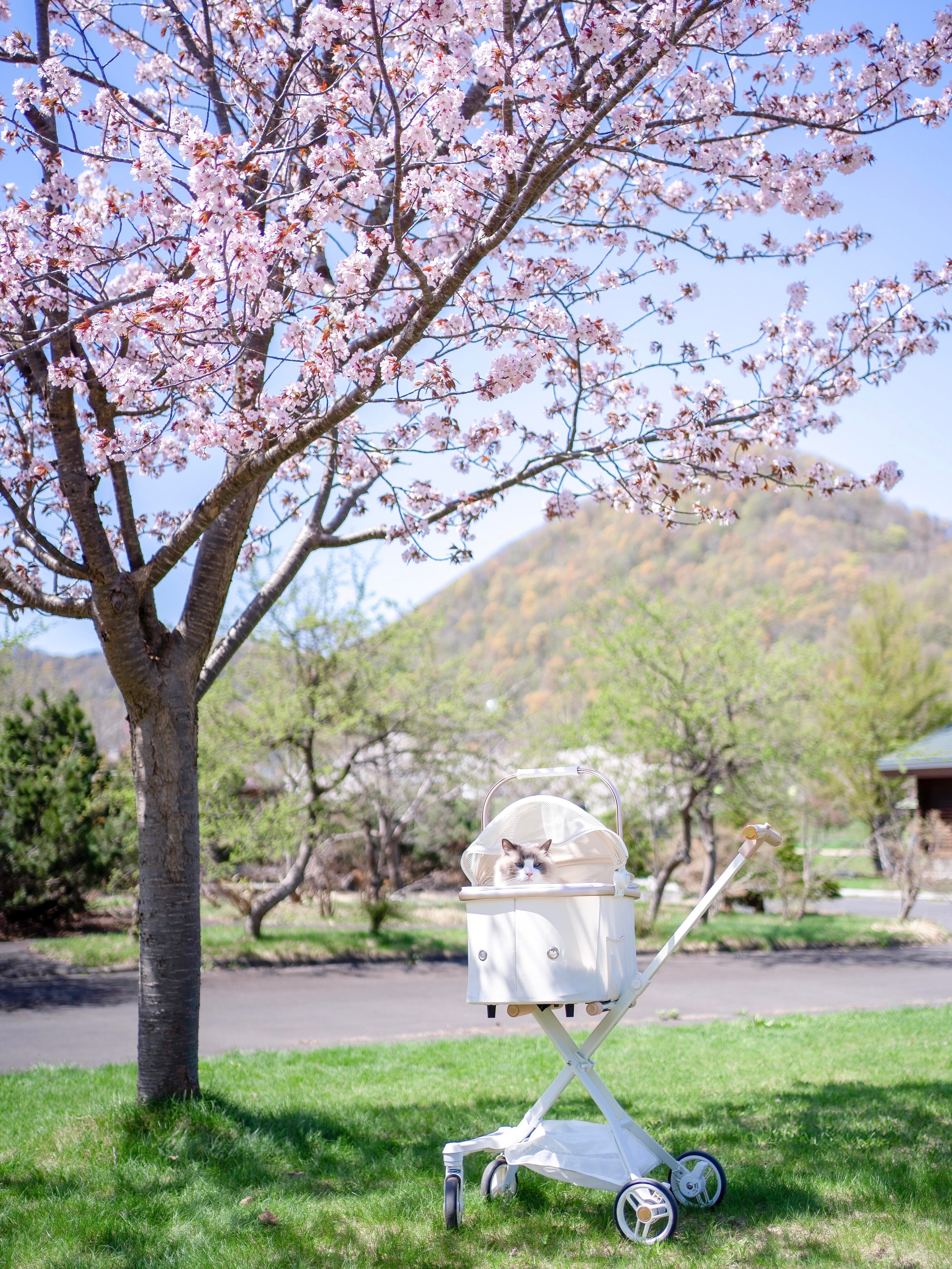 小型犬軽快走行分離式ペットカート-WHITE STROLLER