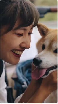 PETTENAワンタッチ完全折りたたみ式ペットカートMILOUで柴犬連れのお出かけビデオ