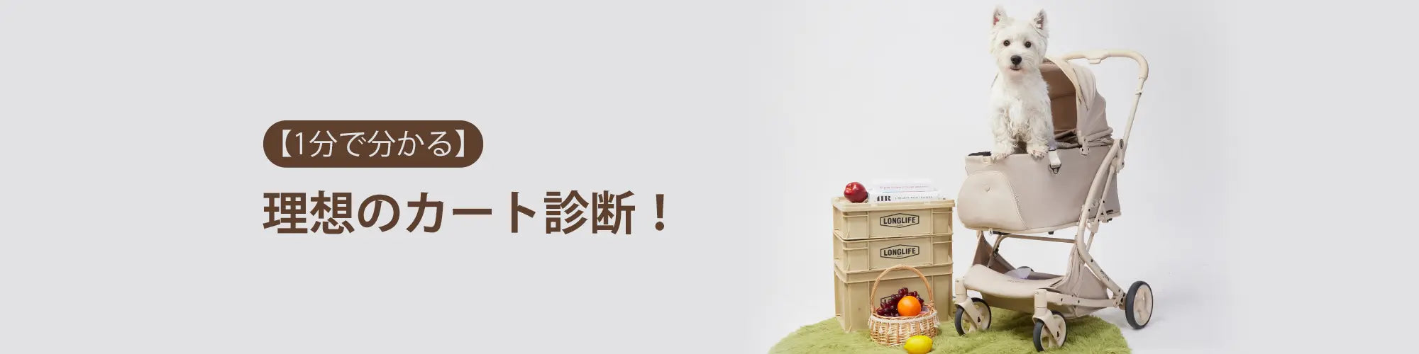 犬バギーの選び方
