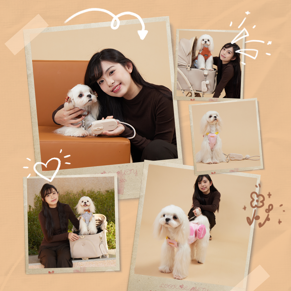 PETTENA AirHold犬用伸縮リードのベージュモデル。軽量で握りやすいグリップ形状が特徴で、マルチーズのような小型犬との散歩に最適です。ペットカートとの併用や多機能なハーネスとのコーディネートも楽しめる、機能性と洗練された外観を兼ね備えたペット用品です。