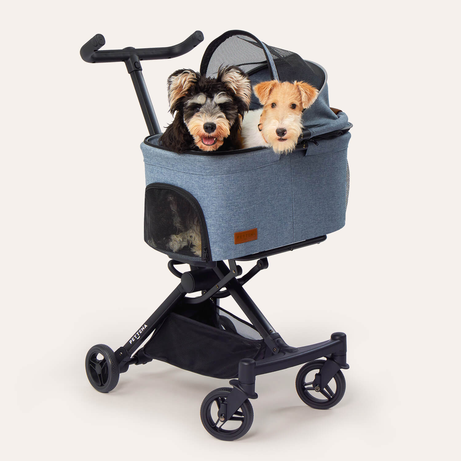 PETTENA軽量コンパクト犬バギーPETITEブルー色に2頭の小型犬を乗せる写真