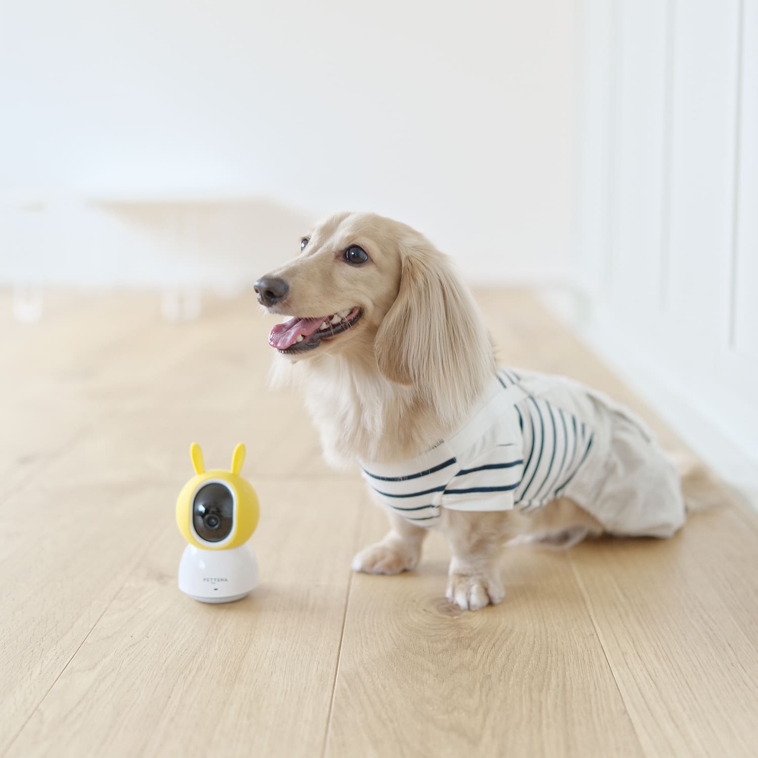 室内用小型ペット見守りカメラ