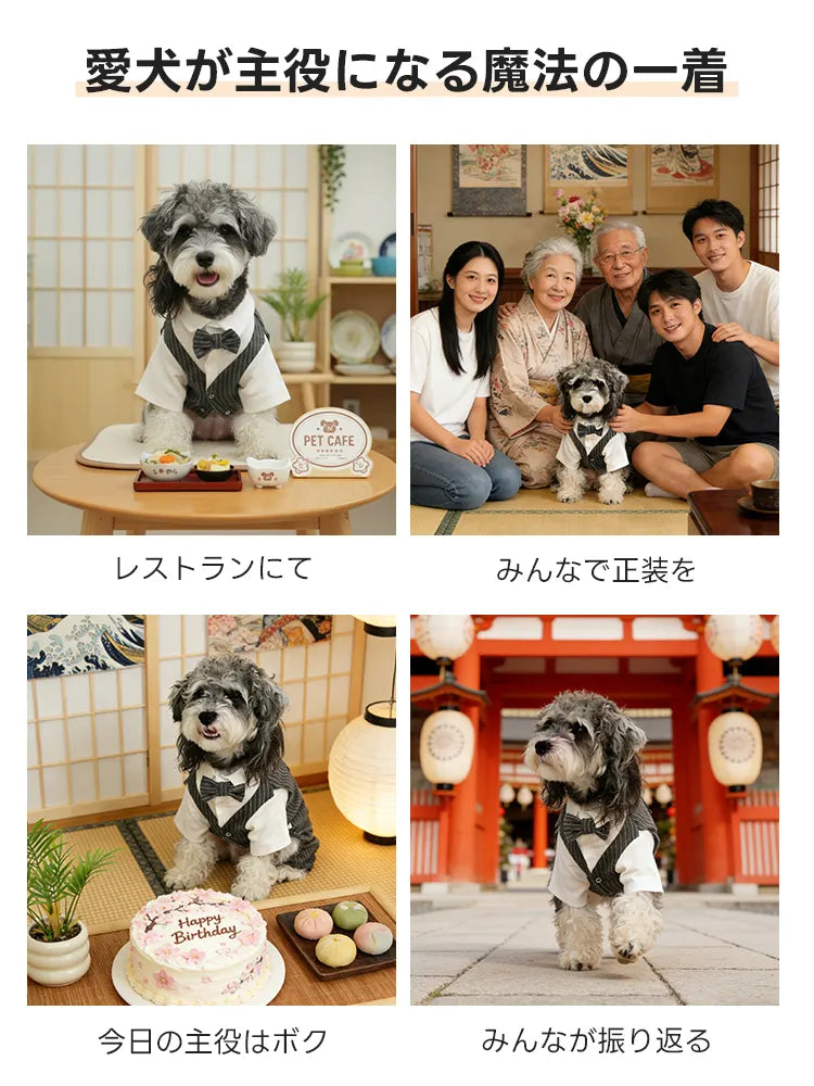 タキシードシャツ紳士スタイルを着用した愛犬。レストランでの食事や家族写真、お出かけシーンでもスマートに決まる、英国紳士のような気品漂うフォーマルな一着。