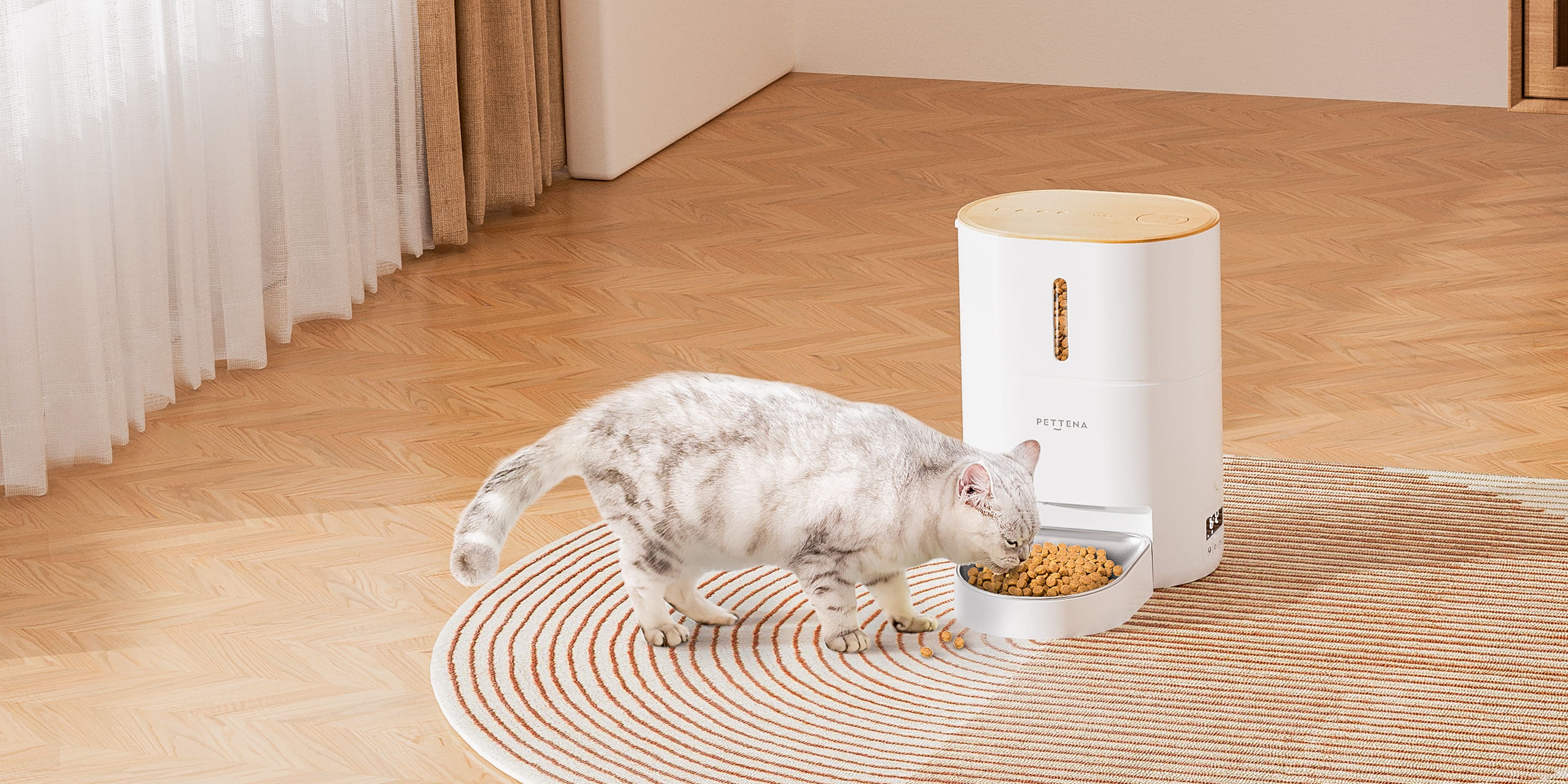 猫用自動給餌器でペットの食事管理できる様子