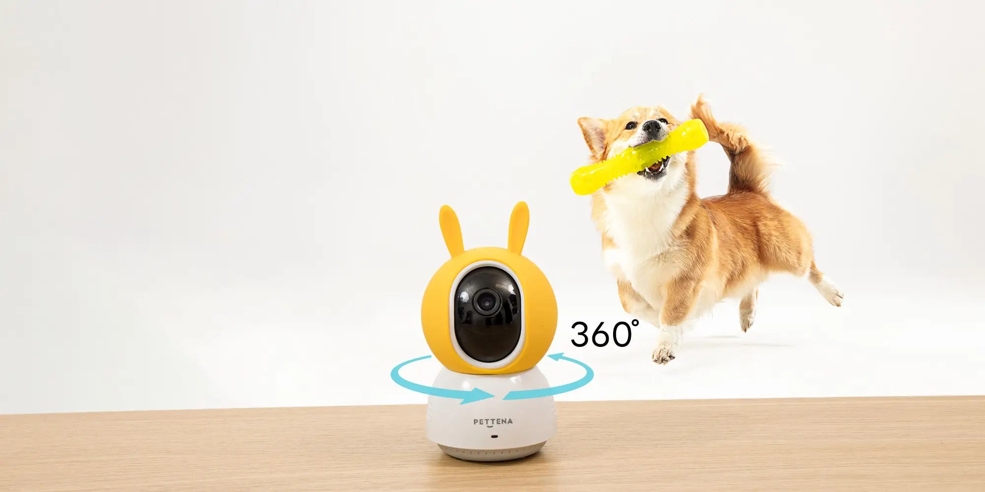 ペットカメラの特徴-高画質、360°回転可能