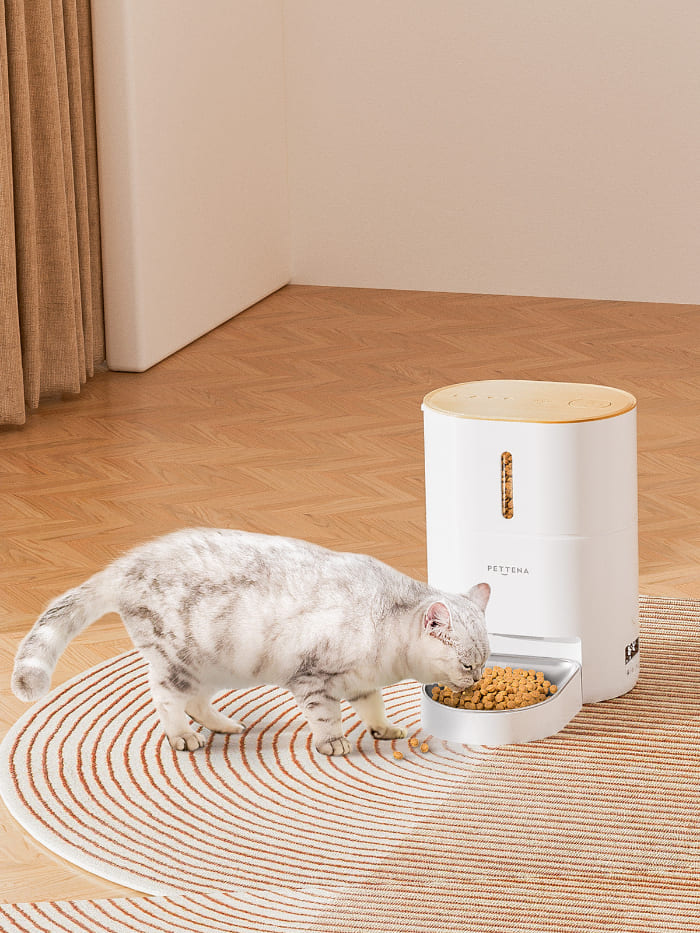 猫用自動給餌器でペットの食事管理できる様子
