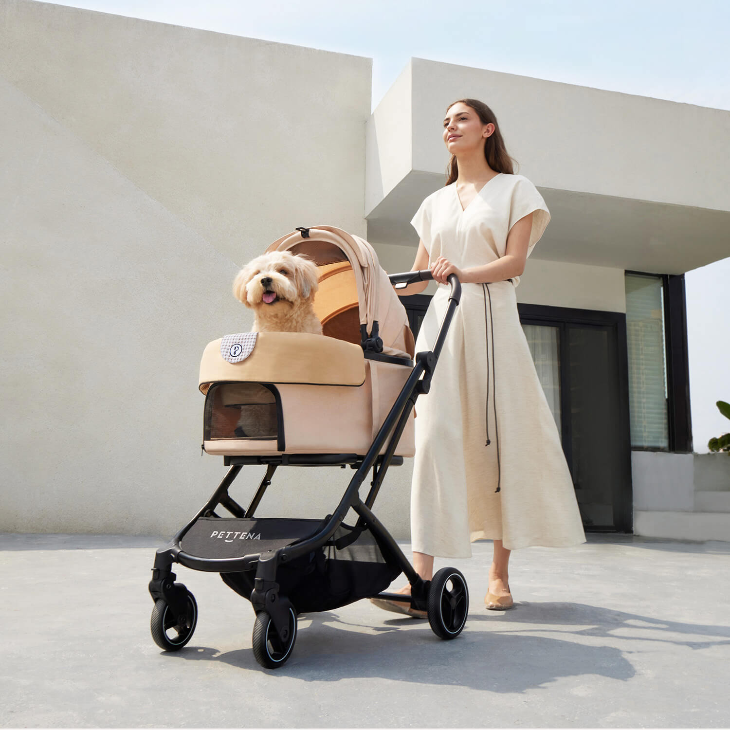 PETTENA 折りたたみ式分離型あごのせクッション付きペットカートORIONで中型犬とお出かけの写真