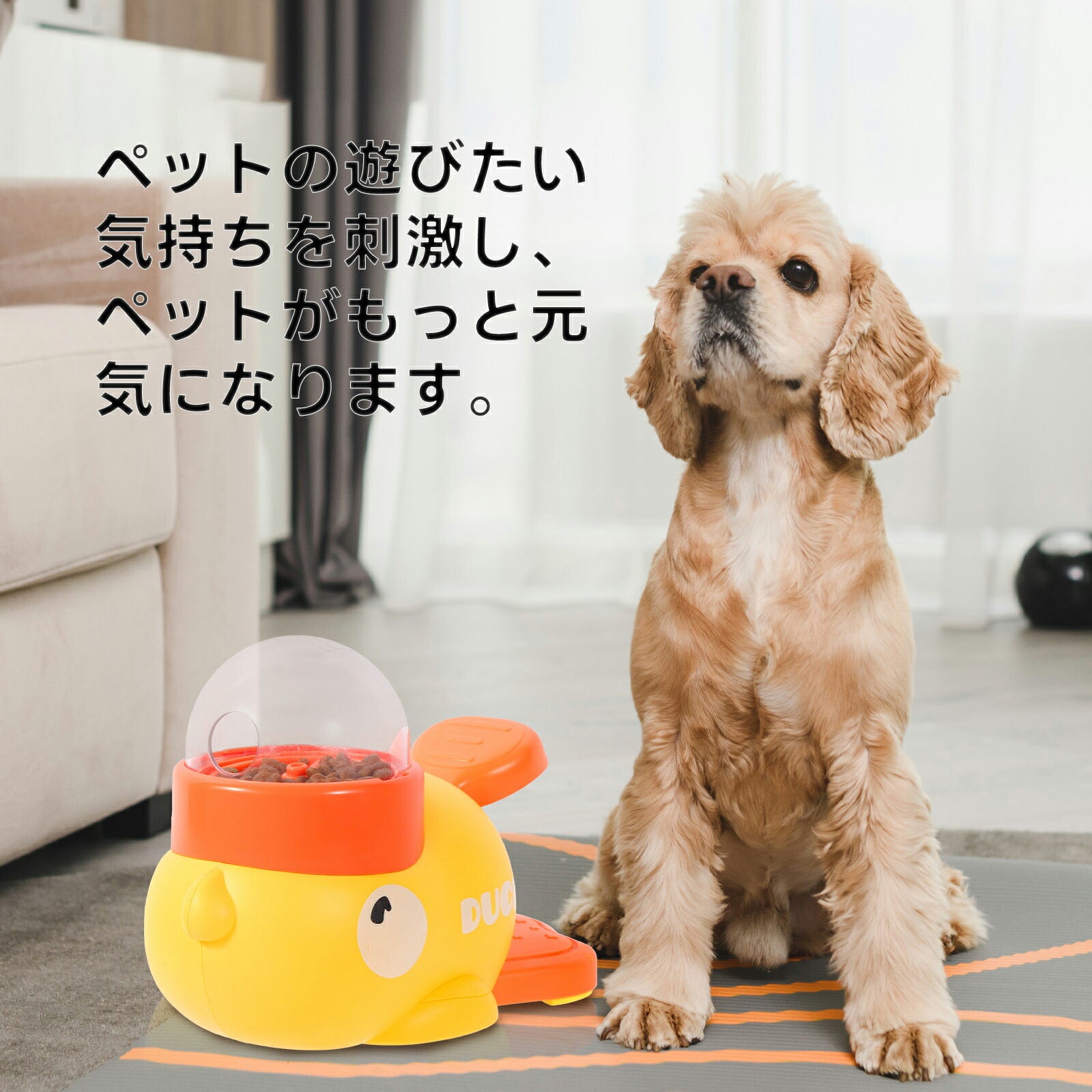 (shiba_mugistaファン専属)スタッフ厳選 知育給餌器 ペットおもちゃ 餌やり機 犬 猫 洗える