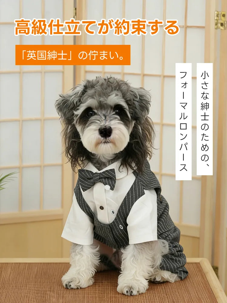 「小さな紳士のためのフォーマルロンパース」。タキシードシャツ紳士スタイルは、本格的なテーラリングで愛犬の特別な日を華やかに演出する最高級のドッグウェア。